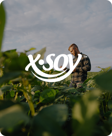 X-SOY