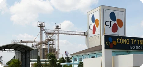 Giai đoạn 1998 - 2018