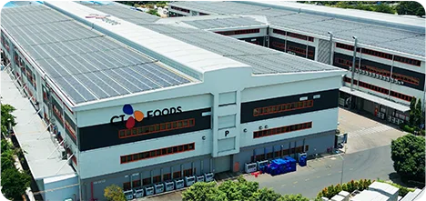 Giai đoạn 2020 - 2025
